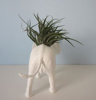 Custom Made Upcycled Toy Planter - White Elephant With Air Plant
