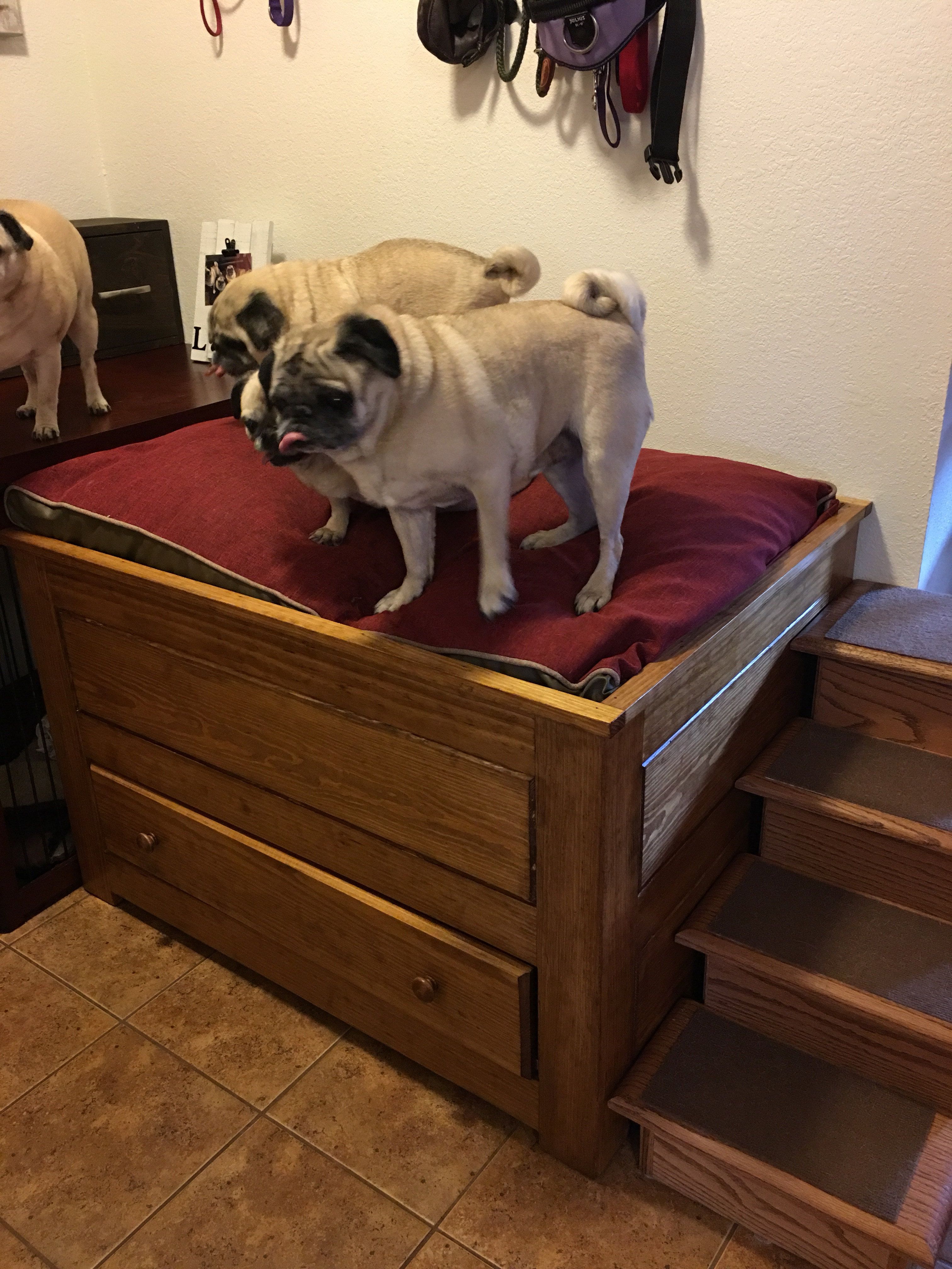 Buy Handmade Elevated Dog Bed, made to order from THH CREATIONS