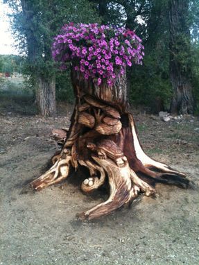 Custom Made Stump Carving, Turtles And Nest