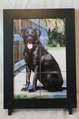 Custom Made Pet Photo