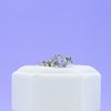 Spencer's Engagement Ring 5