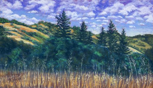 Custom Made Original Framed Soft Pastel Landscape Painting