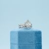 James's Engagement Ring 5