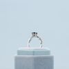 Desiree's Engagement Ring 1