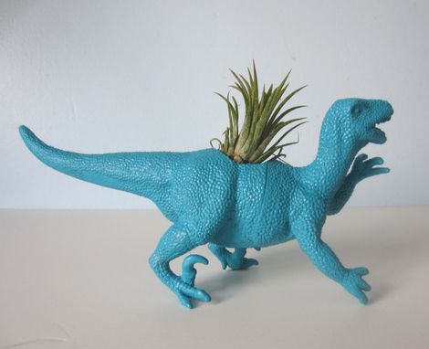 Custom Made Upcycled Dinosaur Planter - Turquoise Blue Raptor With Tillandsia Air Plant