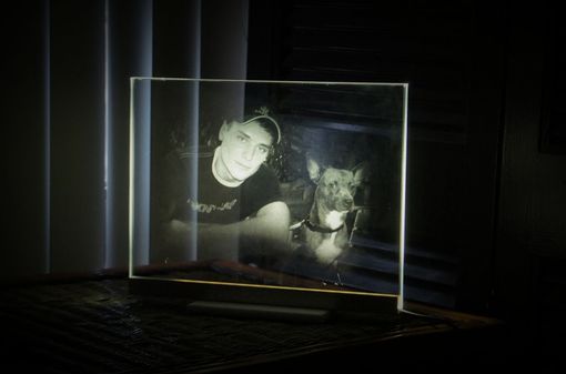 Custom Made Pet Portrait Led Illuminated Glass Etching Night Display / Lamp (Any Image)