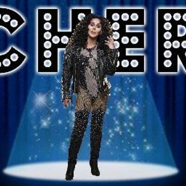 Custom Made Cher Bodysuit