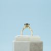 Devon's Engagement Ring 1