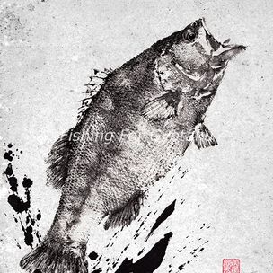 Dwight Hwang's gyotaku art raises awareness of California fish - Los  Angeles Times