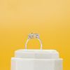 Joanne's Ring 2