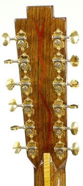 Custom Made "Snake Motif" 12-String Resonator Guitar In Cherry