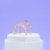 Katana's Engagement Ring 1