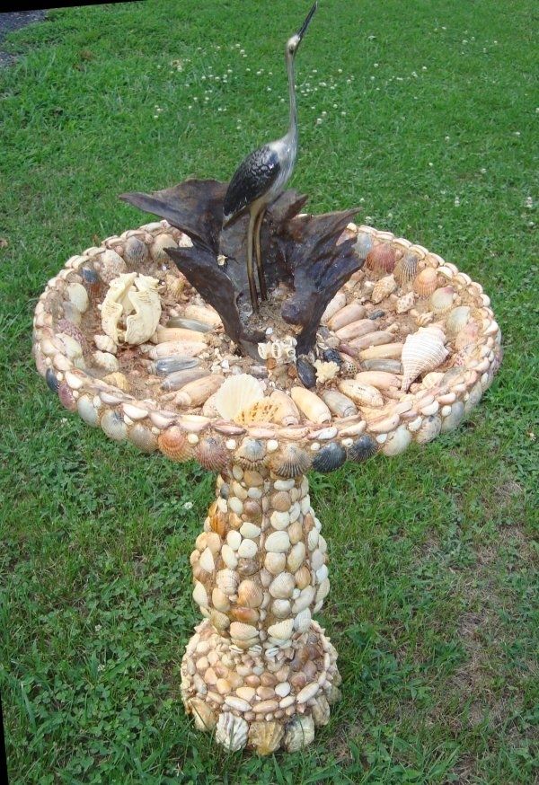 Hand Crafted Sea Shell Birdbath With Driftwood Perch by A 1 Time Design