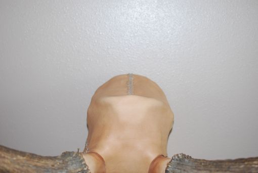 Custom Made Skull Covering