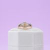 Carrie's Bridal Set 2