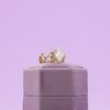 Dominick's Engagement Ring 4