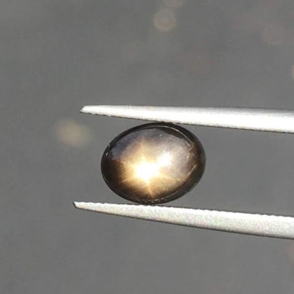 A black star sapphire showing its telltale star reflection of the sunlight outside our office.