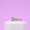 Sean's Engagement Ring 5