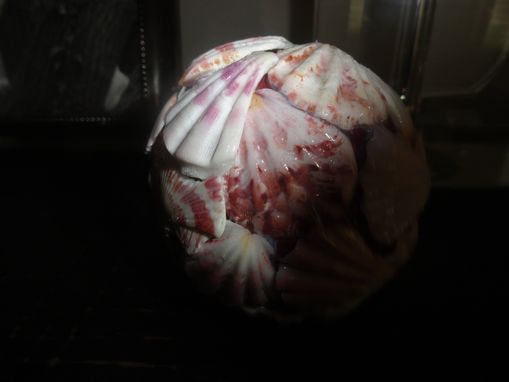 Custom Made Shell Decorated Paper Ball