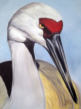 Custom Made Sandhill Crane Close Up