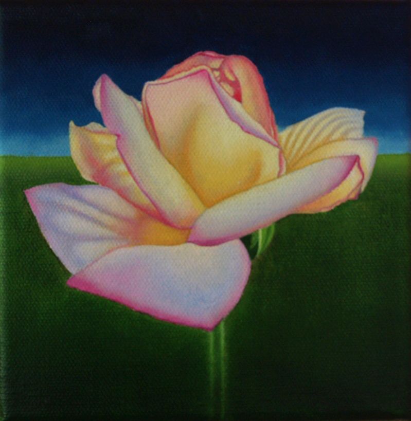 Hand Made Original Jason M Silverman Flower Or Floral Paintings In Oil