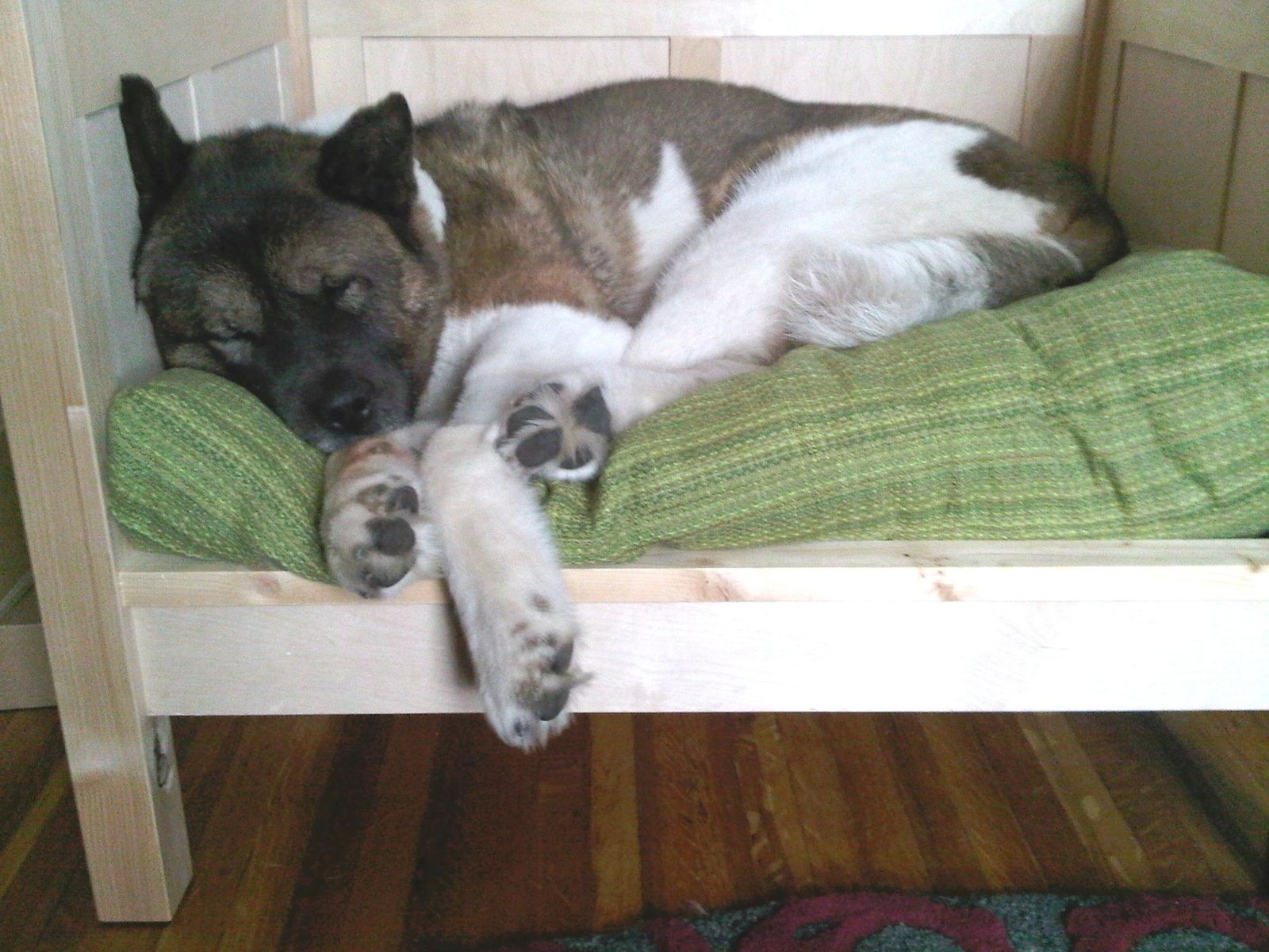 Custom Made Day Bed For An Akita by Tom Jansson Custom Woodworking