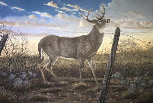 Custom Made Wildlife Paintings