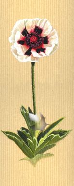 Custom Made Poppy, Iris, Tulip Set Of Three  Flowers