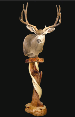 Custom Made Handmade Tiwsted Juniper Taxidermy Pedestal On Blue Pine Bases