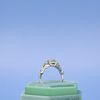 Braden's Engagement Ring 2