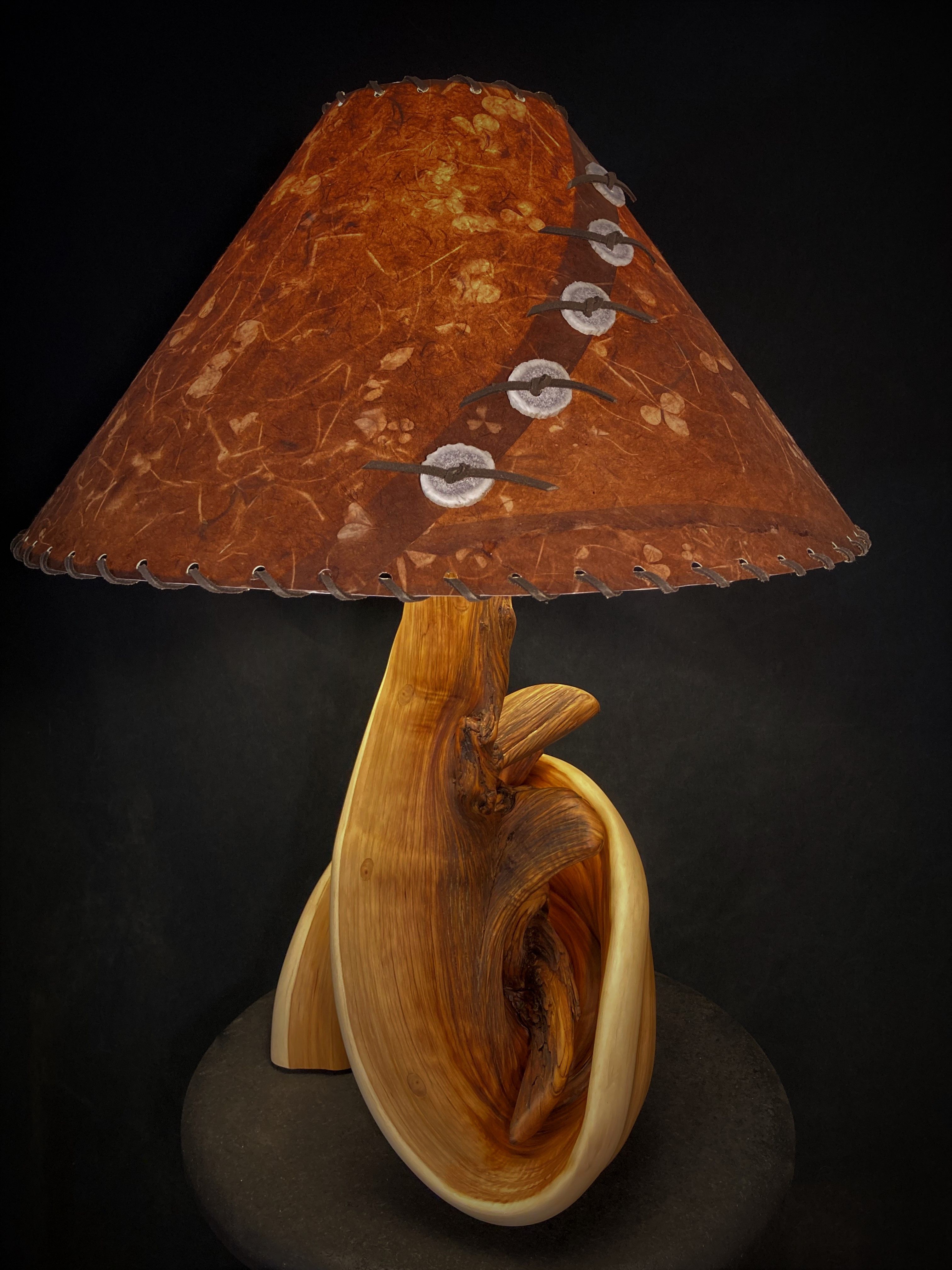 Hand Crafted Free Standing Rustic Twisted Juniper Table Lamp by Rocky