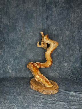 Custom Made Twisted Pine Taxidermy Pedestal