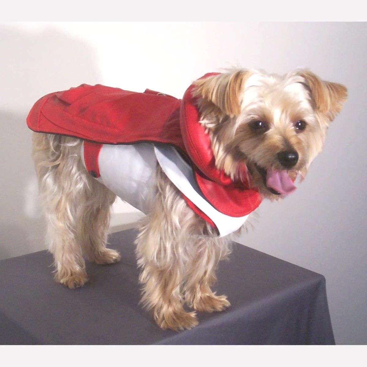 Hand Crafted Leather Dog Coat And Harness by Miguel and Co