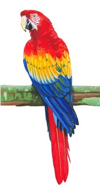 Custom Made Tri Color Macaw (Red, Yellow, Blue)