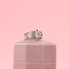 Mary's Engagement Ring 2