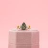 MacKenzie's Engagement Ring 3