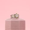 Mary's Engagement Ring 3