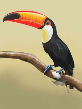 Custom Made Set Of Two Prints Of Toucan