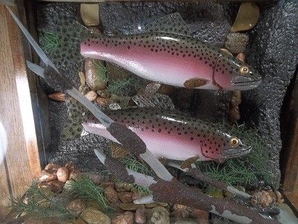 Custom Made Curio Cabinet Trout Display