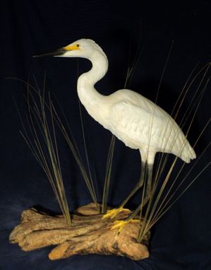 Custom Made Herons Egrets Custom Waterbirds