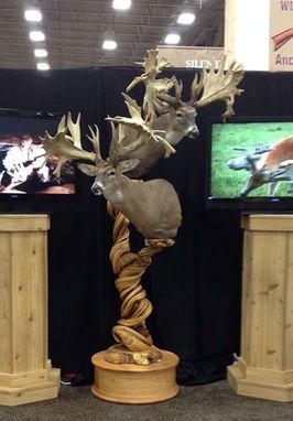 Custom Made Double Head Juniper Taxidermy Display Pedestal