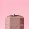 Haley's Engagement Ring 5