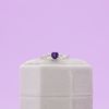 Sabrina's Engagement Ring 5