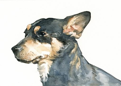 Custom Made Custom Dog Portrait - 5x7 - Plain Background
