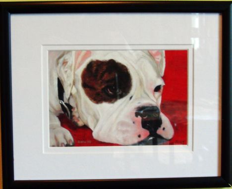 Custom Made Framed Fine Art Dog Print 8 X 10 - American Bulldog/English Bulldog Art