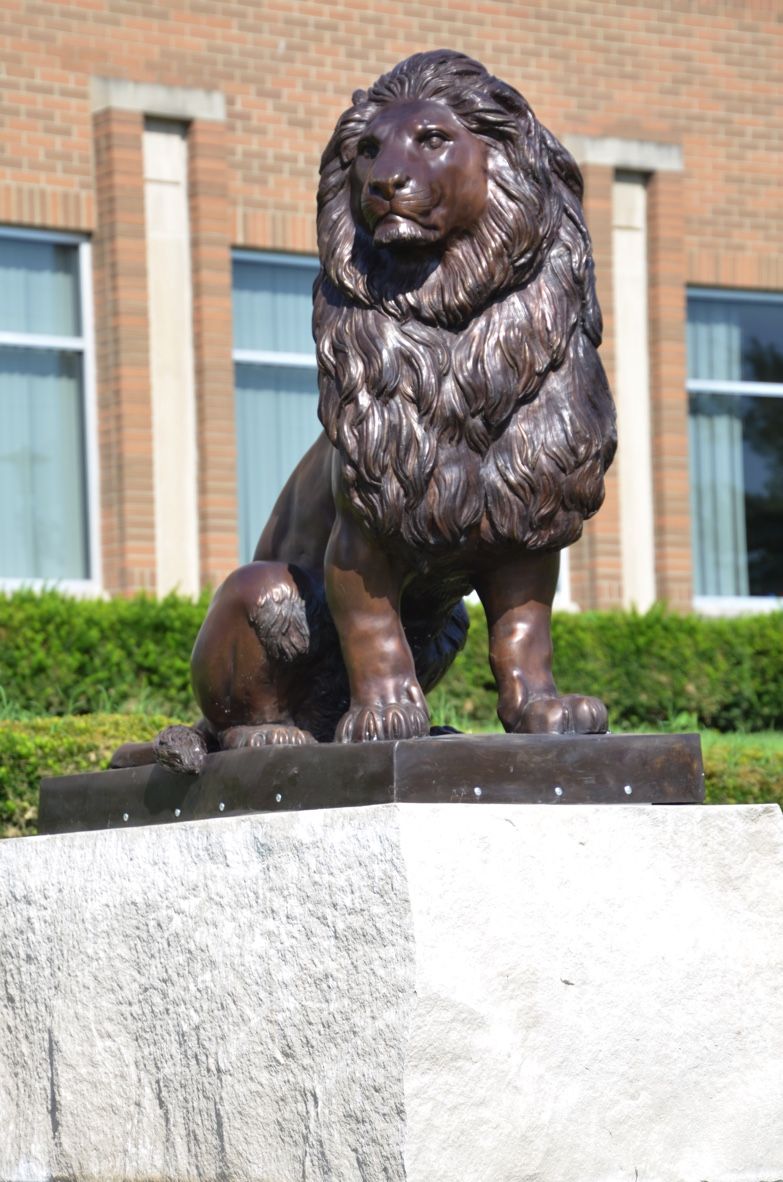 Hand Crafted Bronze Lions Life Size Bronzes Custom Bronze Statues