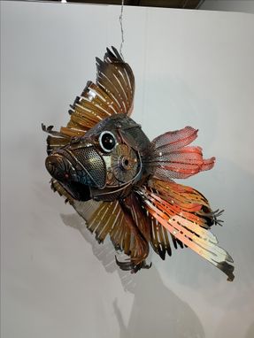 Custom Made Beta Fish
