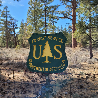 Custom Made Us Forest Service Wood Carved Sign Hand Painted