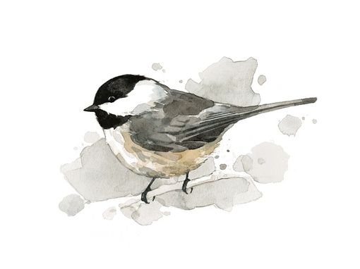Custom Made Chickadee Bird Watercolor Painting