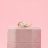 William's Engagement Ring 4